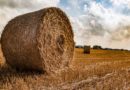 Agricoltura, foto europarl.europa.eu