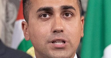 Luigi Di Maio, foto Quirinale.it