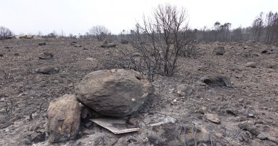 Incendi Sardegna