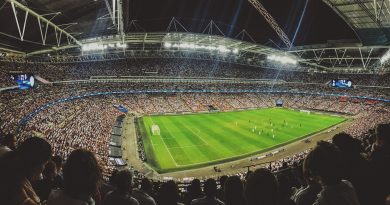 Stadio, foto di Pexels da Pixabay 