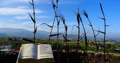 Parco Letterario Grazia Deledda, foto Aggrucar