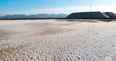 Saline Conti Vecchi, foto Andrea Mariniello 2017/FAI Fondo Ambiente Italiano