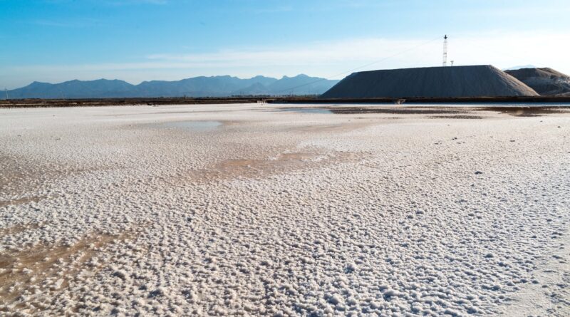 Saline Conti Vecchi, foto Andrea Mariniello 2017/FAI Fondo Ambiente Italiano