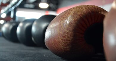 Guantone boxe, Foto di Aberro Creative da Pixabay