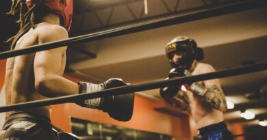 Boxe, Foto di StockSnap da Pixabay