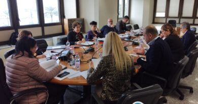 Commissione Lavoro, foto Sardegnagol riproduzione riservata