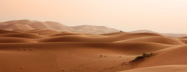 Deserto, foto Greg Montani da Pixabay