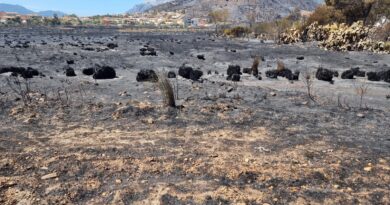 Incendio Sardegna