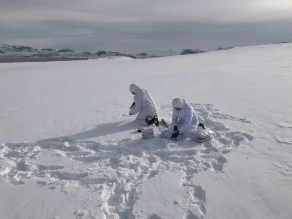 Campionamento sulla neve, foto F. Scoto, CNR - Unive