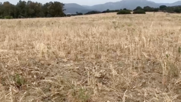 Agricoltura, foto Coldiretti