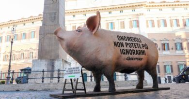 Protesta Greenpeace